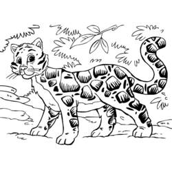 Coloriage Guépard (Animaux) #7970 à imprimer et colorier