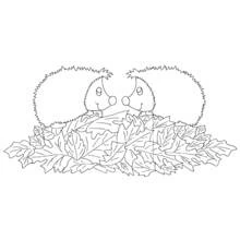 Coloriage Hérisson (Animaux) #8309 à imprimer et colorier