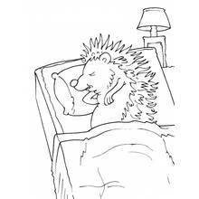Coloriage Hérisson (Animaux) #8385 à imprimer et colorier