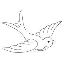 Hirondelle - Coloriages gratuits à imprimer
