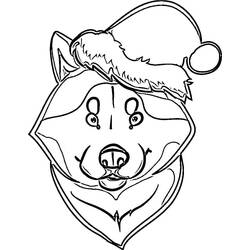 Coloriage Husky (Animaux) #189118 à imprimer et colorier