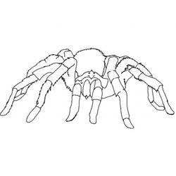 Coloriage Insecte (Animaux) #179751 à imprimer et colorier