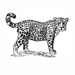 Coloriage Jaguar (Animaux) #9007 à imprimer et colorier