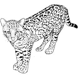 Coloriage Léopard (Animaux) #9732 à imprimer et colorier