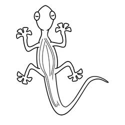 Coloriage Lézard (Animaux) #179643 à imprimer et colorier