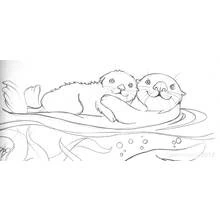 Coloriage Loutre (Animaux) #10696 à imprimer et colorier