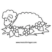 Coloriage Mouton (Animaux) #11391 à imprimer et colorier