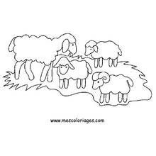 Coloriage Mouton (Animaux) #11414 à imprimer et colorier