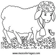 Coloriage Mouton (Animaux) #11429 à imprimer et colorier