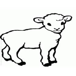 Coloriage Mouton (Animaux) #11505 à imprimer et colorier