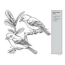 Coloriage Oiseaux (Animaux) #11981 à imprimer et colorier