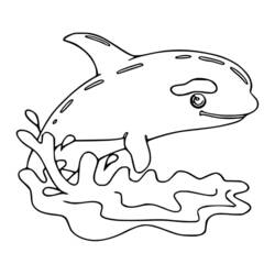 Coloriage Orque (Animaux) #213468 à imprimer et colorier