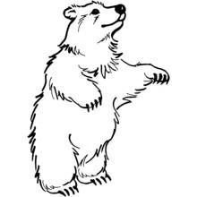 Coloriage Ours (Animaux) #12283 à imprimer et colorier