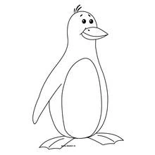 Coloriage Pingouin (Animaux) #16824 à imprimer et colorier