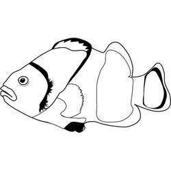 Coloriage Poisson Clown (Animaux) #218313 à imprimer et colorier