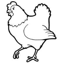 Poulet - Coloriages gratuits à imprimer