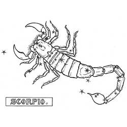 Coloriage Scorpion (Animaux) #14596 à imprimer et colorier