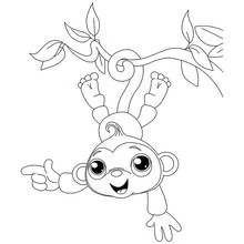 Coloriage Singe (Animaux) #14193 à imprimer et colorier