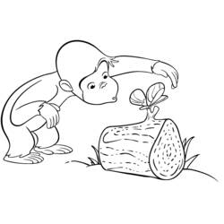 Coloriage Singe (Animaux) #14240 à imprimer et colorier