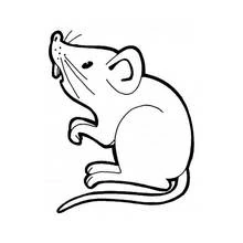 Coloriage Souris (Animaux) #13937 à imprimer et colorier