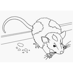 Coloriage Souris (Animaux) #13963 à imprimer et colorier