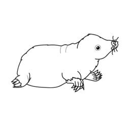 Taupe - Coloriages gratuits à imprimer