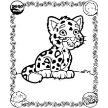 Coloriage Tigre (Animaux) #13636 à imprimer et colorier