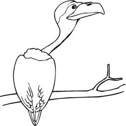 Coloriage Vautour (Animaux) #205346 à imprimer et colorier