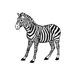 Coloriage Zèbre (Animaux) #12972 à imprimer et colorier