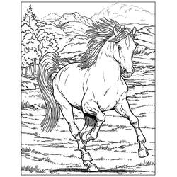 Adulte Cheval - Coloriages gratuits à imprimer