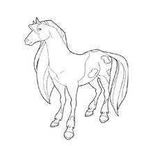Coloriage Horseland (Dessins animés et séries animées) #53944 à imprimer et colorier