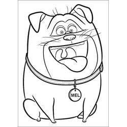 Coloriage Comme des Bêtes (Films d'Animation) #206633 à imprimer et colorier