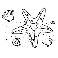 Coloriage Coquillage (Nature et saisons) #163326 à imprimer et colorier