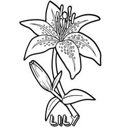 Coloriage Fleur (Nature et saisons) #170887 à imprimer et colorier