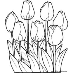 Coloriage Fleurs (Nature et saisons) #154985 à imprimer et colorier