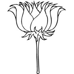 Lotus - Coloriages gratuits à imprimer