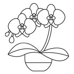 Coloriage Orchidée (Nature et saisons) #176388 à imprimer et colorier