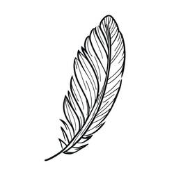 Coloriage Plume (Objets) #212625 à imprimer et colorier