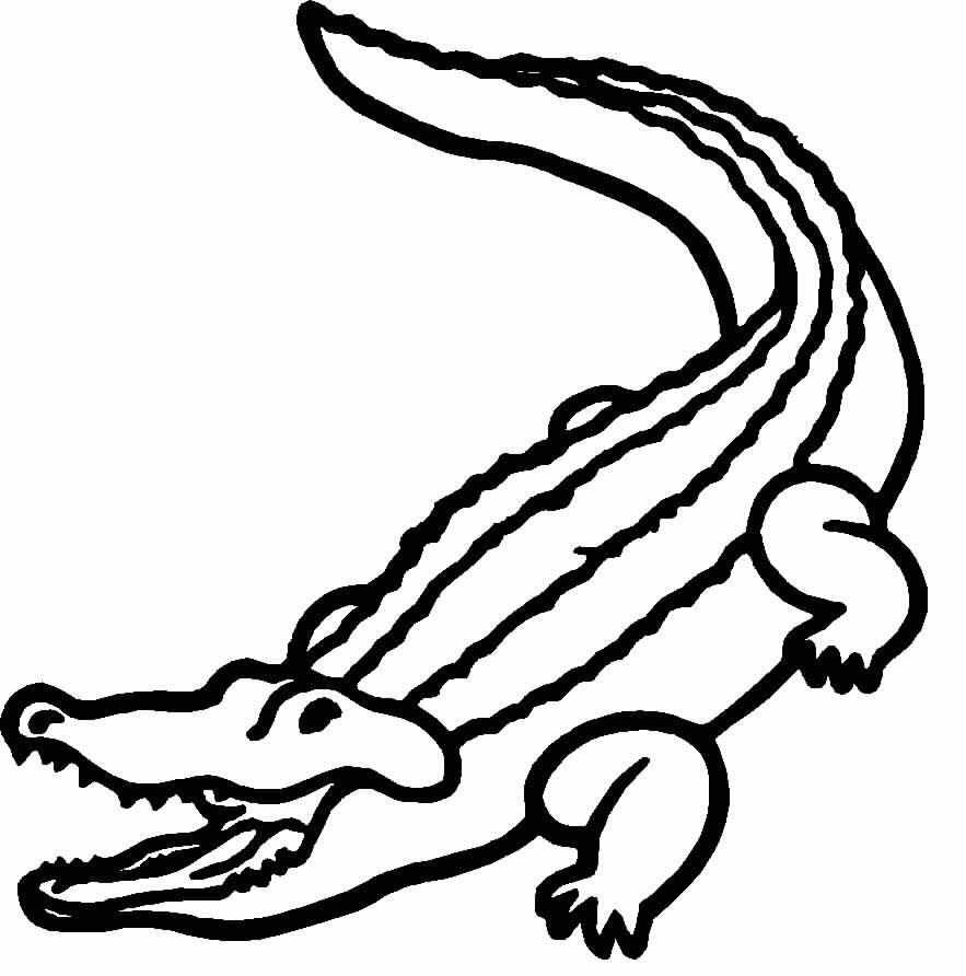 ワニの無料ぬりえ #424（動物コレクション）