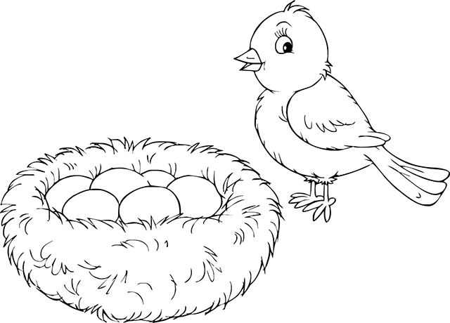 ひよこの無料ぬりえ #20304（動物コレクション）