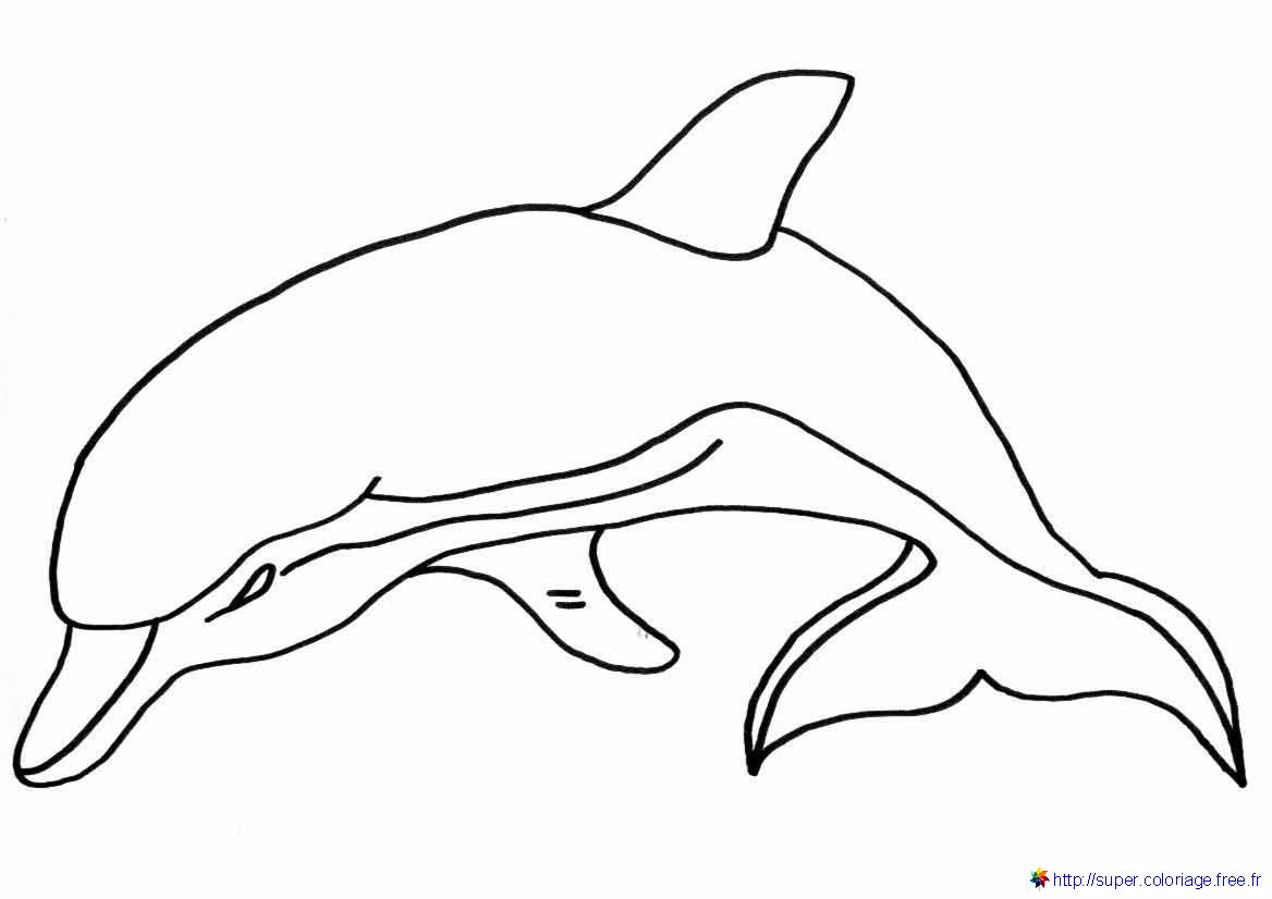 イルカの無料ぬりえ #5186（動物コレクション）
