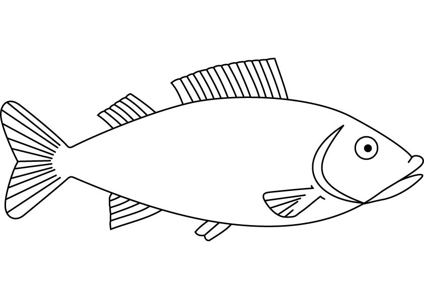 魚の無料ぬりえ #17171（動物コレクション）