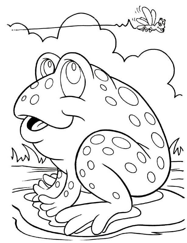 ハエの無料ぬりえ #11108（動物コレクション）