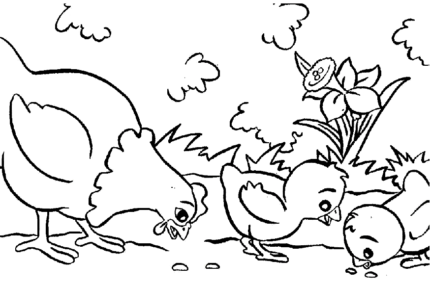 雌鶏の無料ぬりえ #17432（動物コレクション）