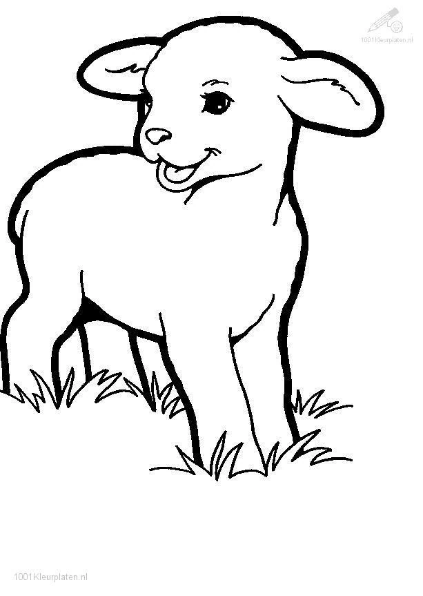 子羊の無料ぬりえ #178（動物コレクション）