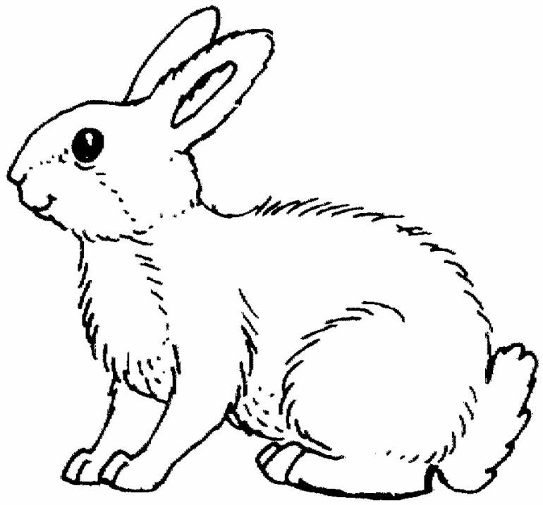 ウサギの無料ぬりえ #9504（動物コレクション）