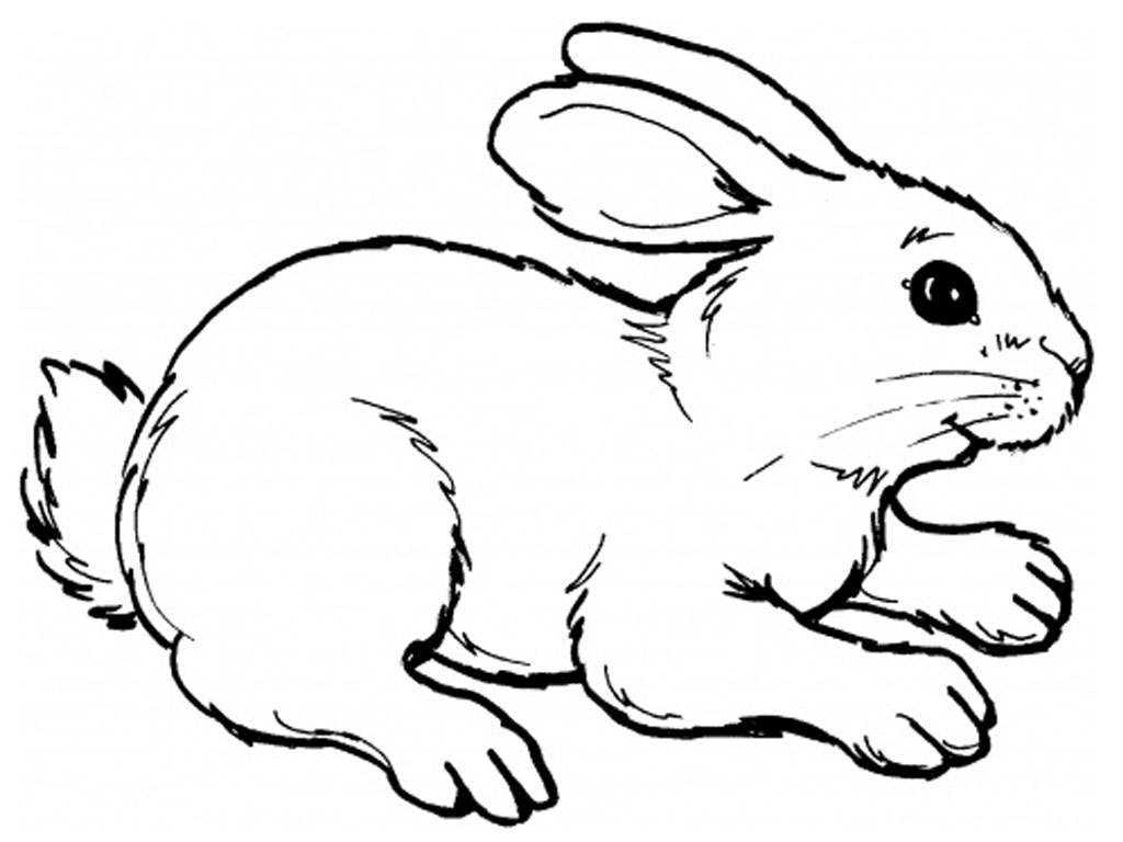 ウサギの無料ぬりえ #9507（動物コレクション）