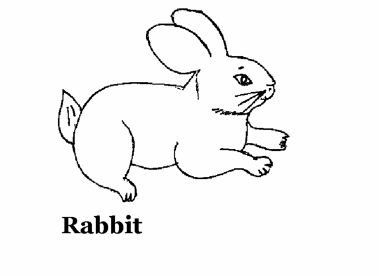 ウサギの無料ぬりえ #9587（動物コレクション）
