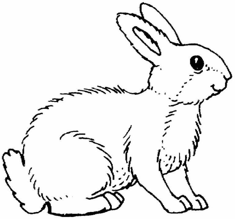 ウサギの無料ぬりえ #9689（動物コレクション）