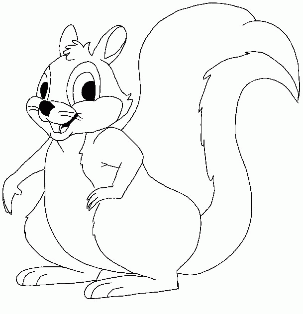 リスの無料ぬりえ #6105（動物コレクション）